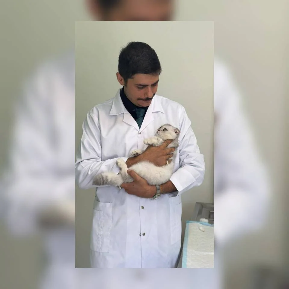 دامپزشکی سیار در ونک