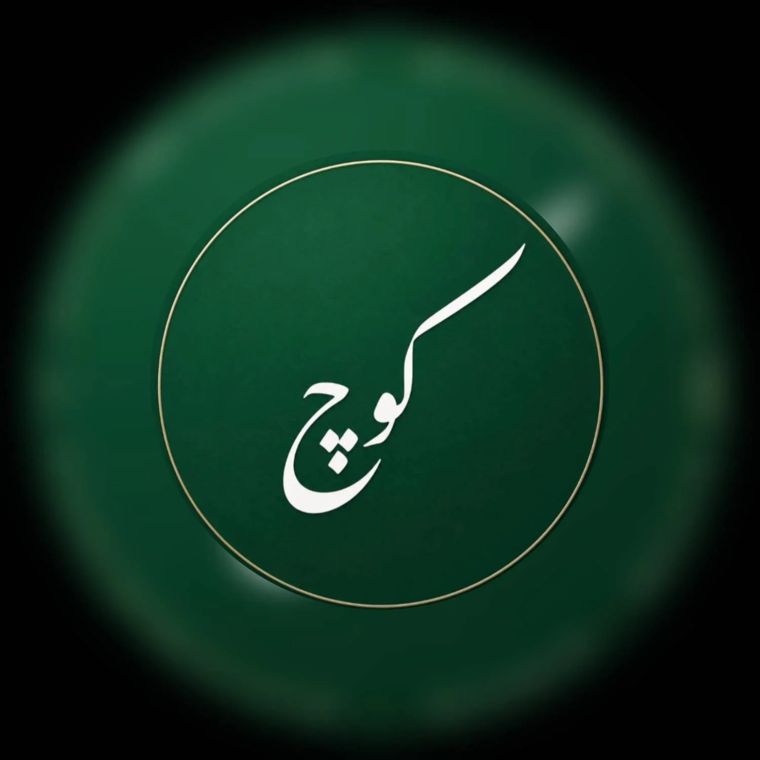 کلینیک رواندرمانی کوچ