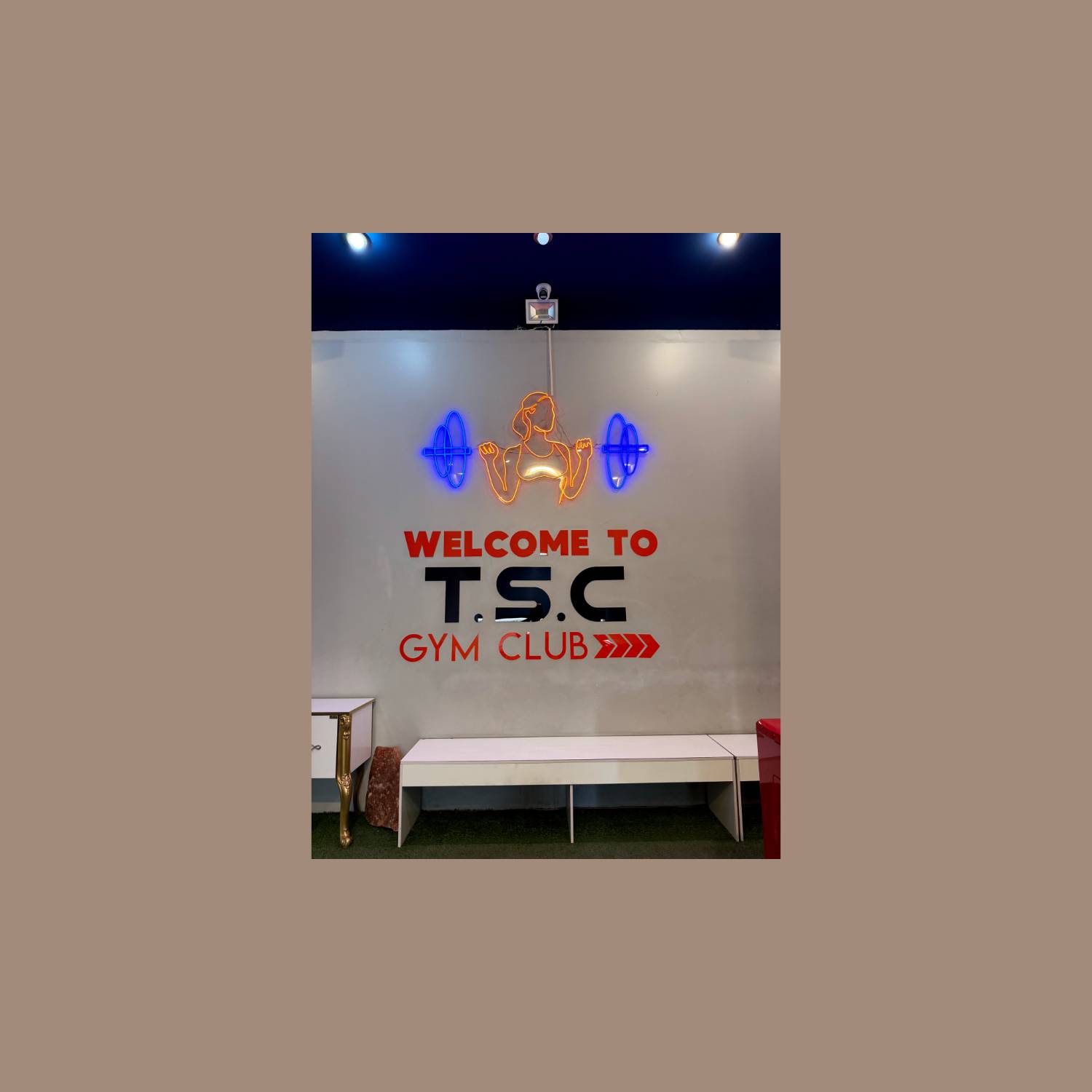 ‎باشگاه TSC(شعبه بانوان)